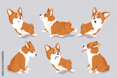 Corgi dog puppies set. Isolated, hand drawn, vector illustration.