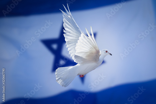 Murais de parede Dove of peace Israeli flag background, Israel