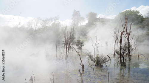 Kuirau Park walk in Rotorua, the thermal wonderland of New Zealand. photo