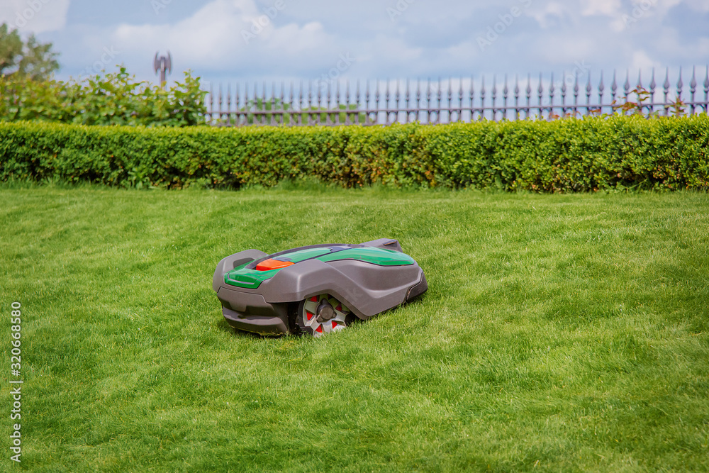 Robotic lawn mower on grass, side view. Garden modern remote technology. - obrazy, fototapety, plakaty 