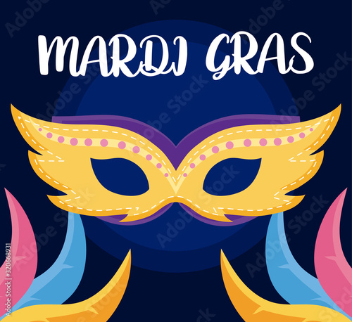 Mardi gras mask with feathers vector design