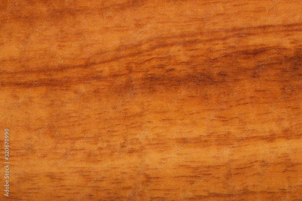 Obraz premium Wood Close up
