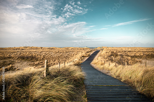 Ein Holzweg durch goldenes Gras auf einer düne richtung meer unter türkisblauem himmel im Norden der Niederlande photo