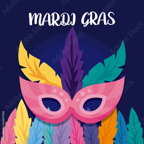 Mardi gras mask with feathers vector design