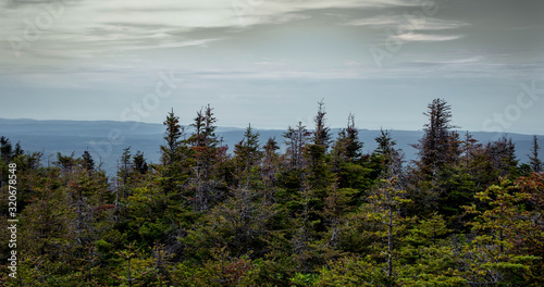 landscape of the gaspésie.Pic dawn. Gaspésie Quebec.