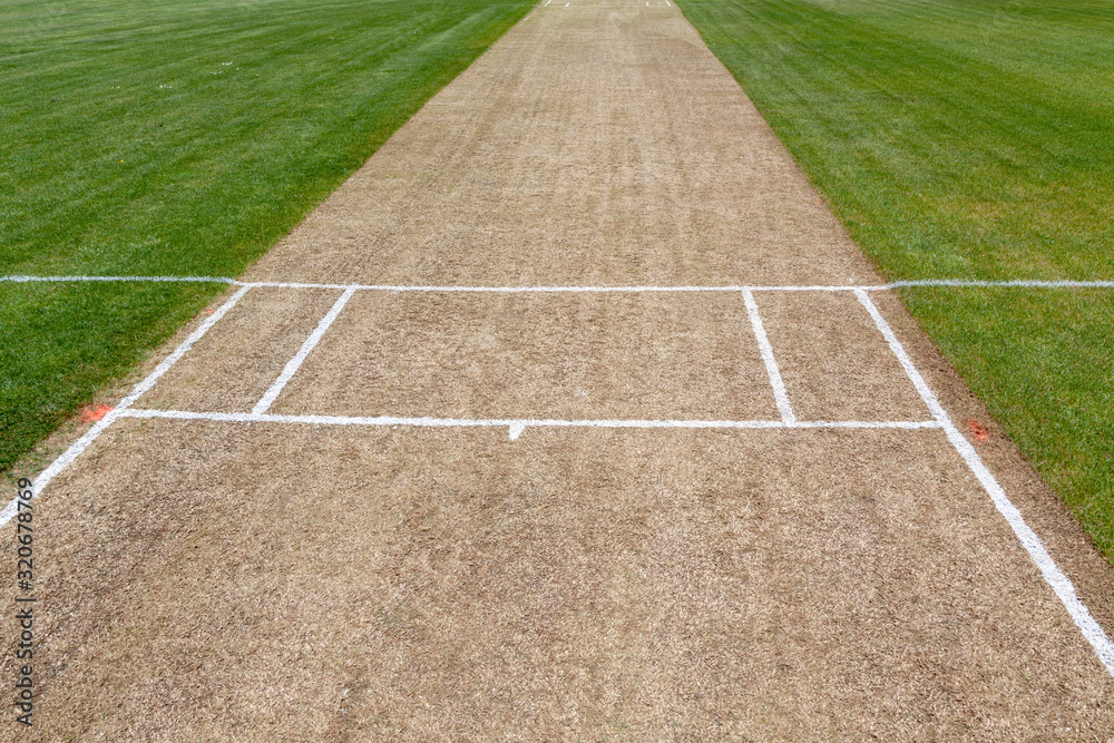 Empty cricket pitch background green grass sport field