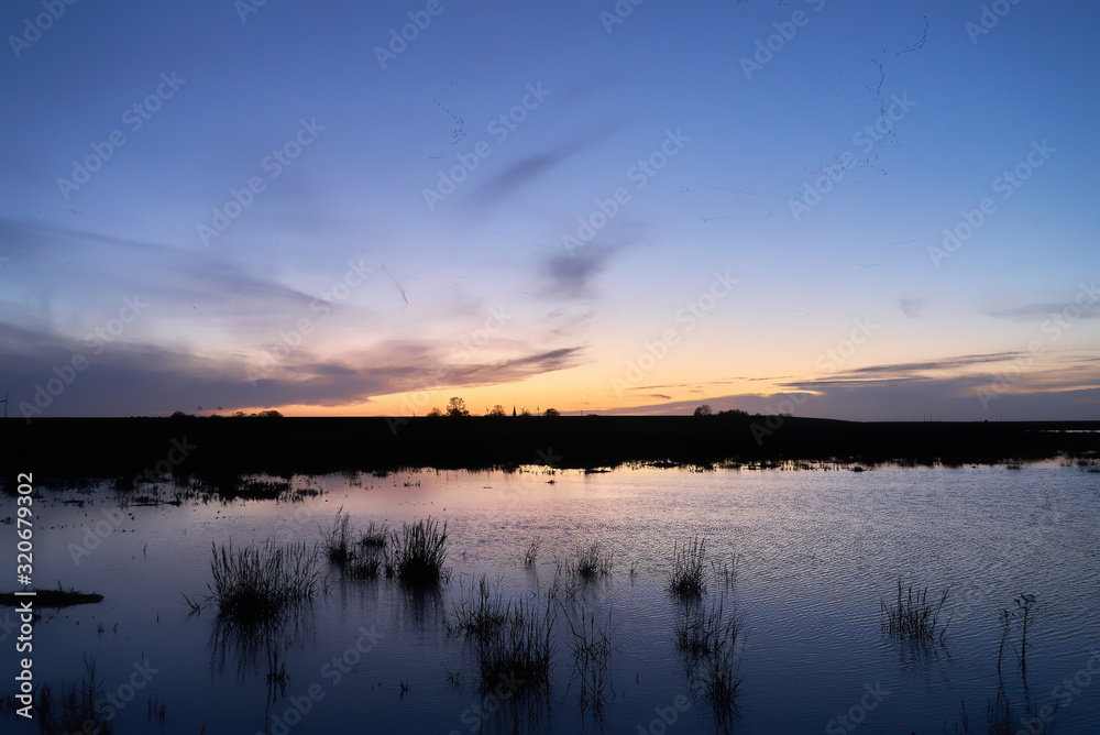 Fototapeta premium scenic sunset over the water of the Langwarder groden (community Butjadingen, district Wesermarsch, Germany)