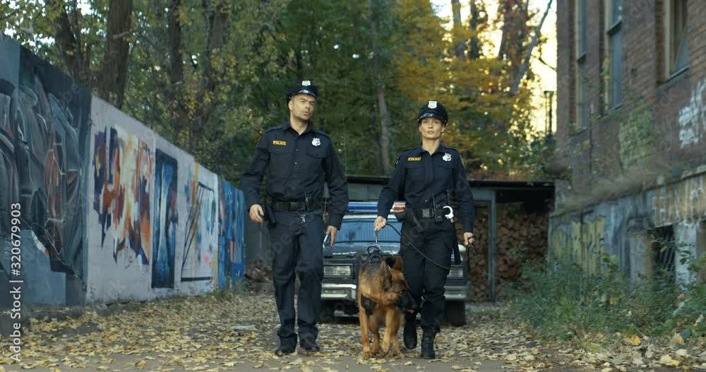 Caucasian policeman and policewoman in uniforms walking with shepherd dog. Male and female police officers searching something and patrolling disrict. Caucasian policeman and policewoman in uniforms walking with shepherd dog. Male and female police officers searching something and patrolling disrict.