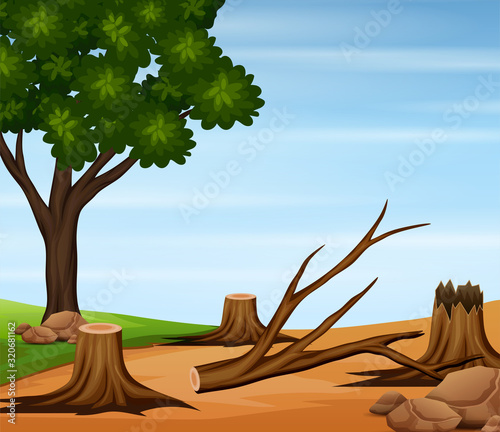 Deforestation scene with felled trees in nature