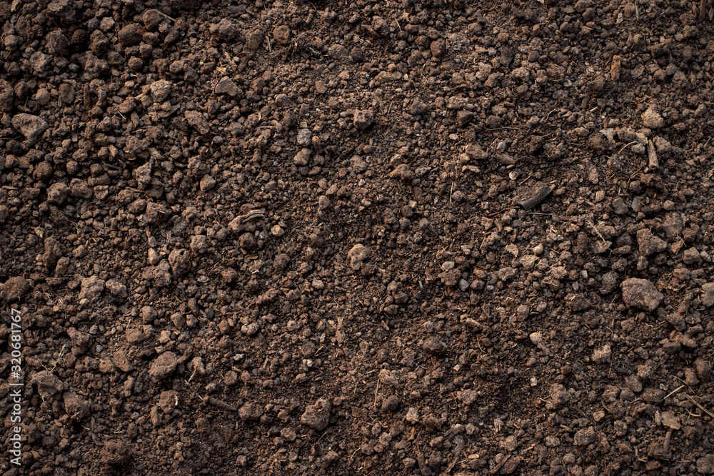 Fertile loam soil suitable for planting, soil texture background. Fertile loam soil suitable for planting, soil texture background.