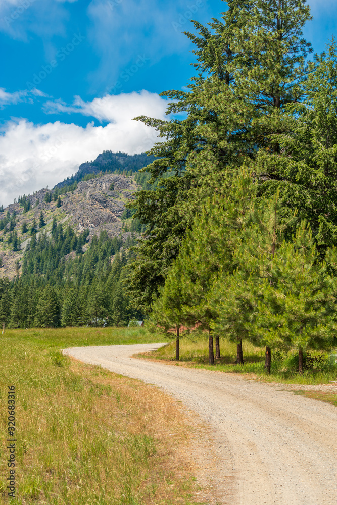 custom made wallpaper toronto digitalRocky Mountains. Mountain Road in Cascades National Park, Washington, USA.