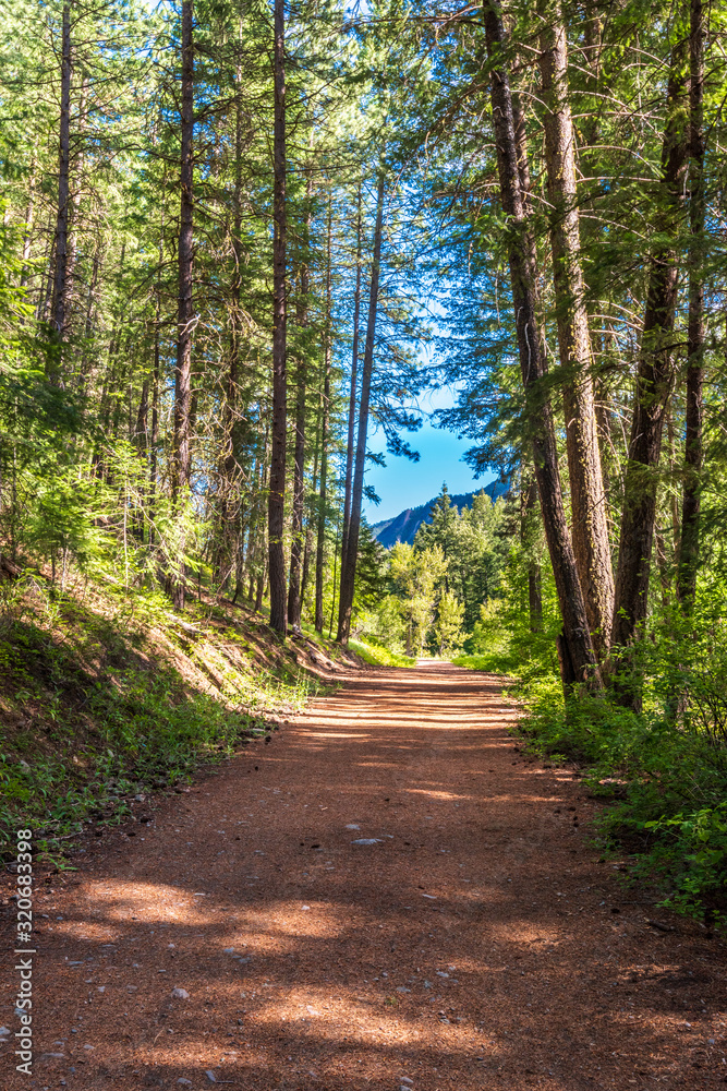 Fototapeta premium Rocky Mountains. Mountain Trail in Cascades National Park, Washington, USA.