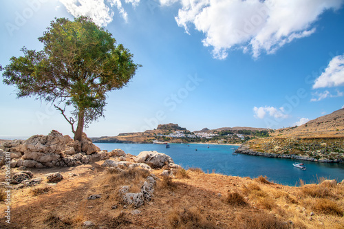 Alone tree with rocks, village and Acropolis of Lindos in background (Rhodes, Greece)