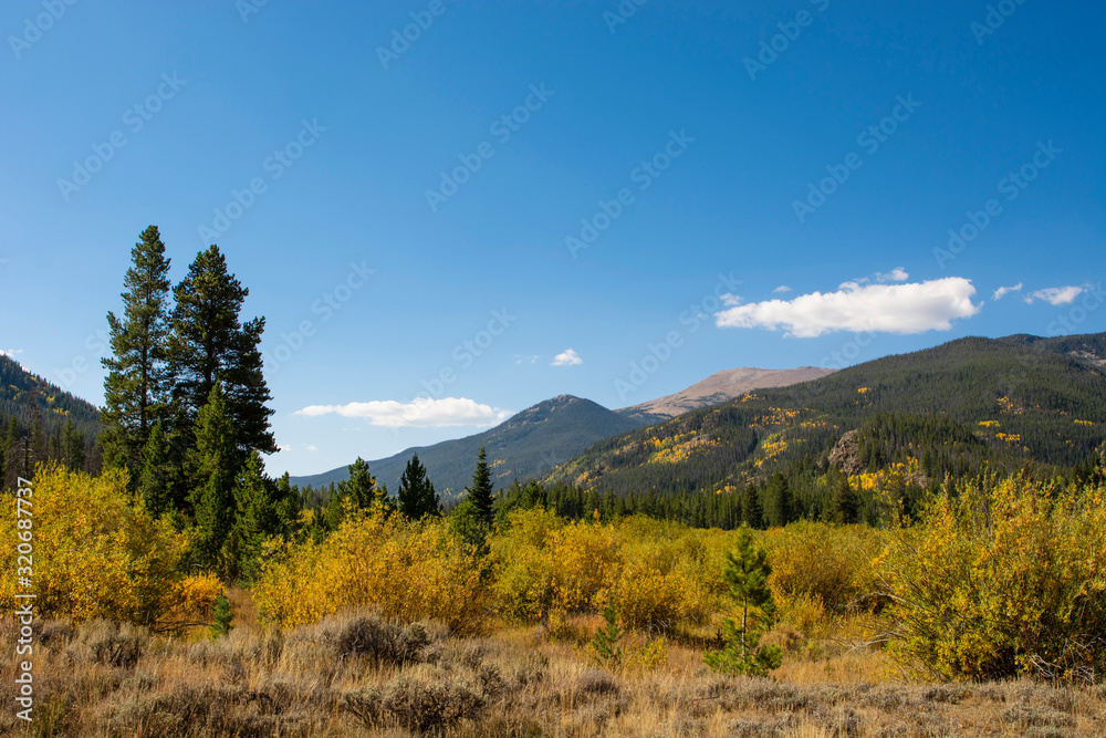 Mountains Aspen Forest Pine Trees Blue Sky