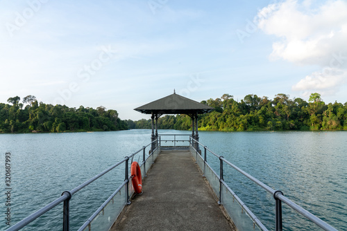  pier on MacRitchie Reservoir photo