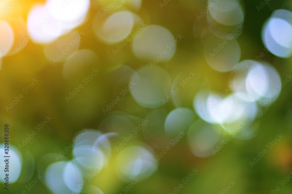 Sunny abstract green nature background, selective focus Sunny abstract green nature background, selective focus