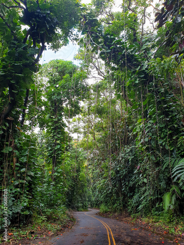Hawaiian Road