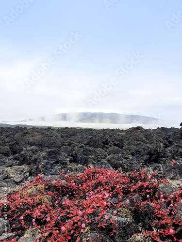 Volcano Lava