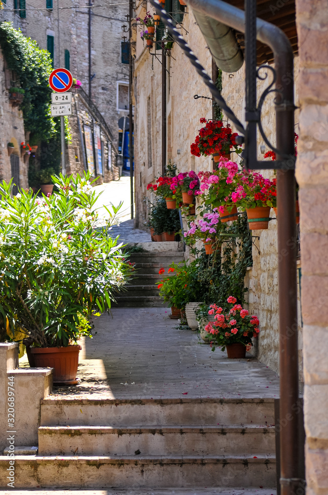 Assisi Landscapes Assisi Landscapes