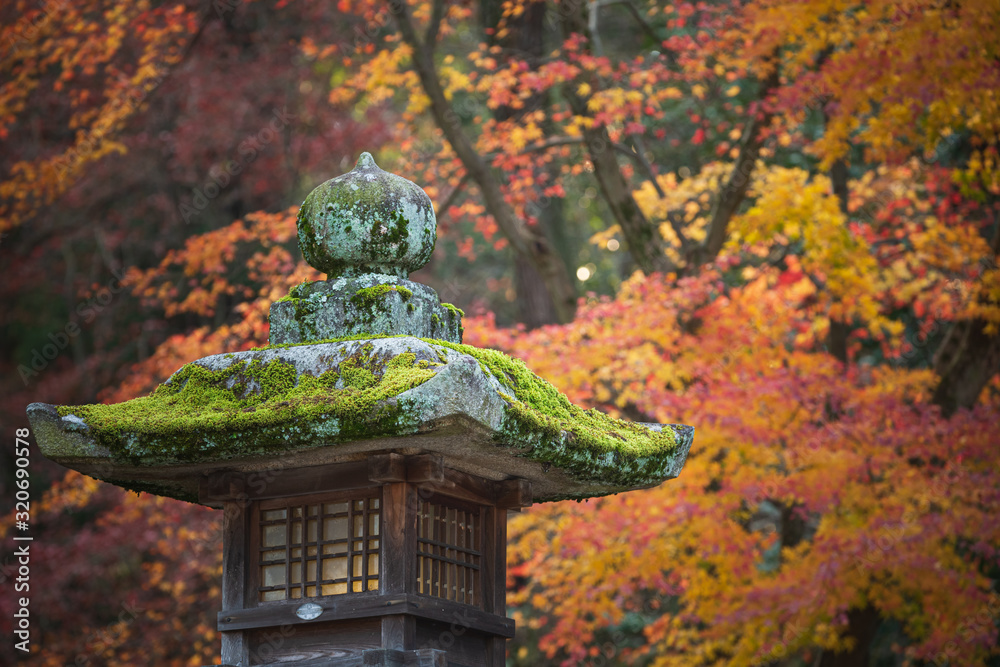 苔生す石灯籠と紅葉