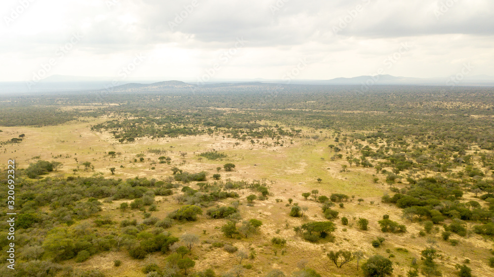 view Tanzanian landscape