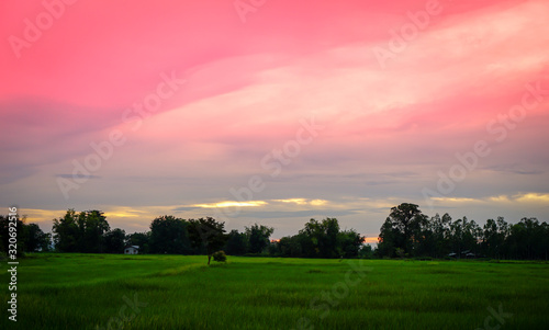 Fields with pink clouds 