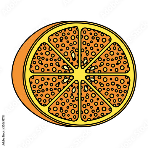 orange citrus fruit isolated icon
