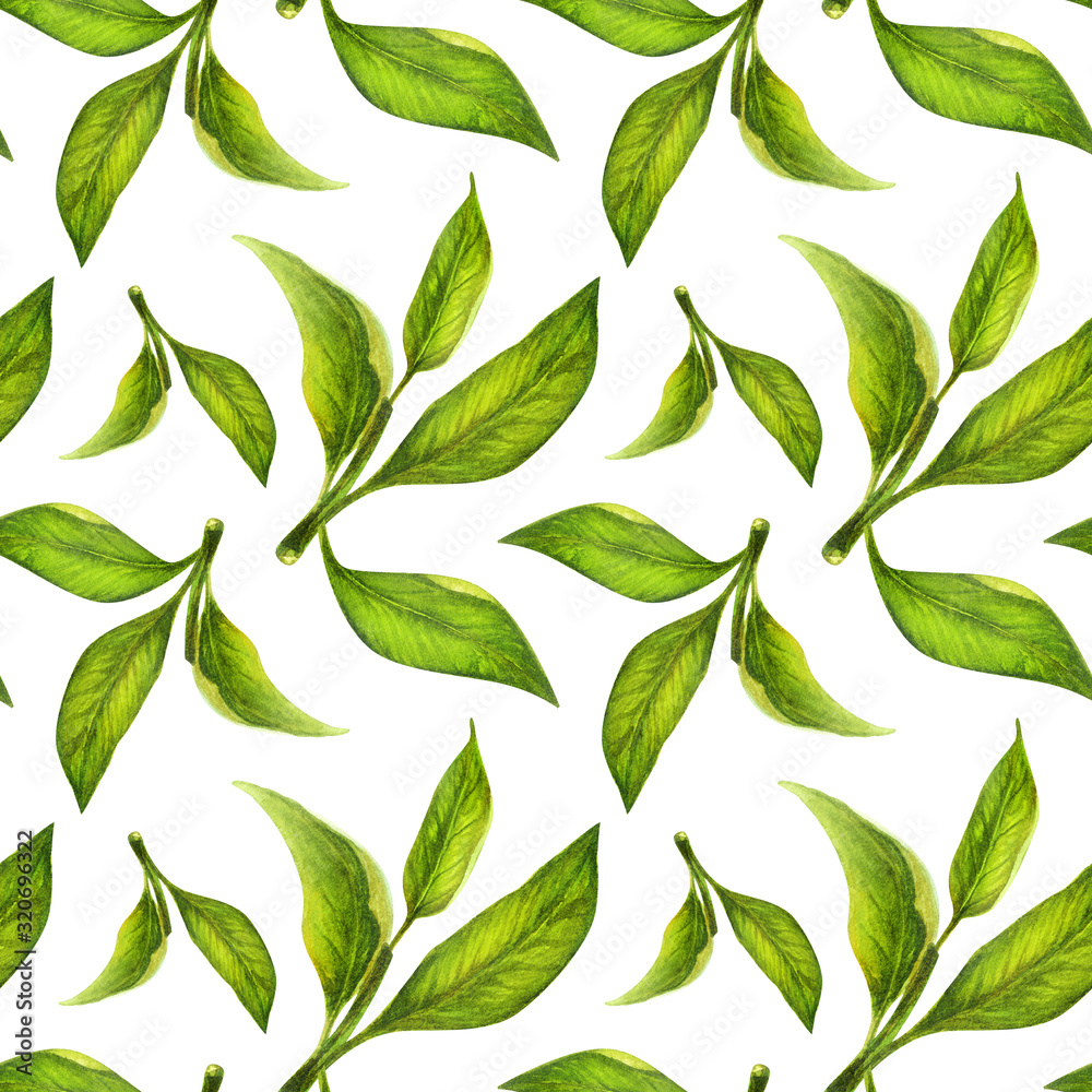 Green leaves watercolor seamless pattern. Botanical painting illustration isolated on white background Green leaves watercolor seamless pattern. Botanical painting illustration isolated on white background