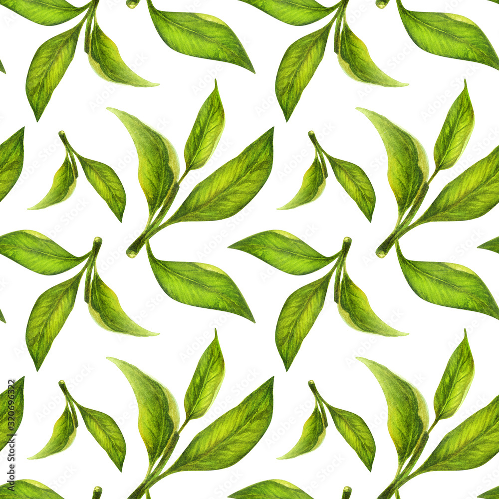 Green leaves watercolor seamless pattern. Botanical painting illustration isolated on white background