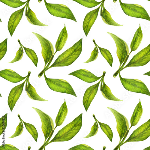 Green leaves watercolor seamless pattern. Botanical painting illustration isolated on white background