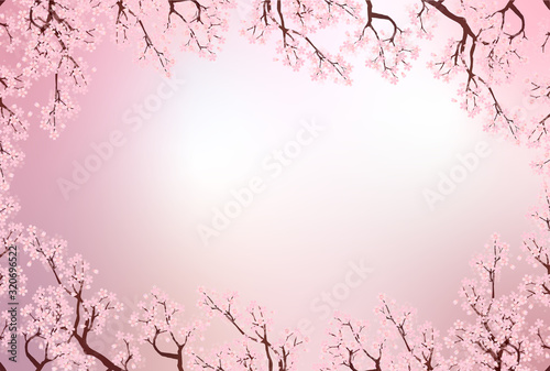 桜　春　花　背景