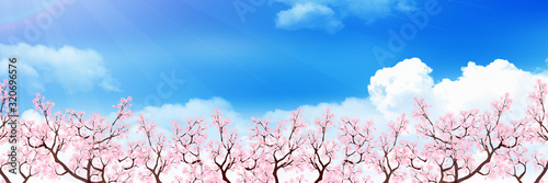 桜　春　花　背景