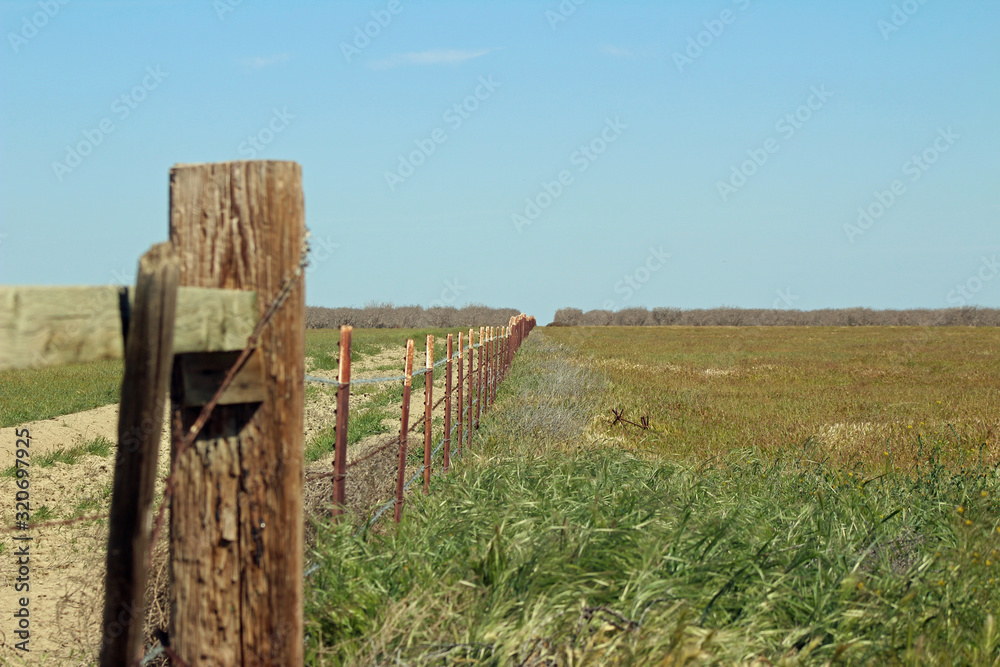 Fence on the Farm (CA 07467)