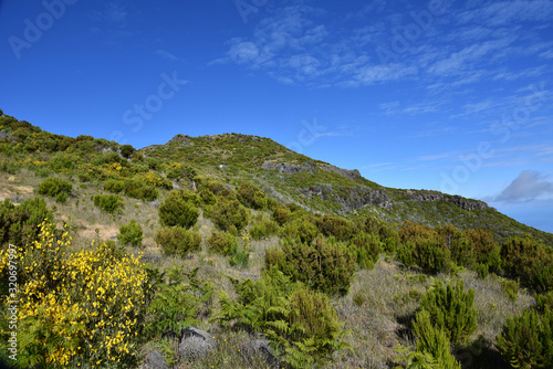 Landscape of green mountains of Madeira Island - view from the trial to Pico Ruivo. © Mariusz