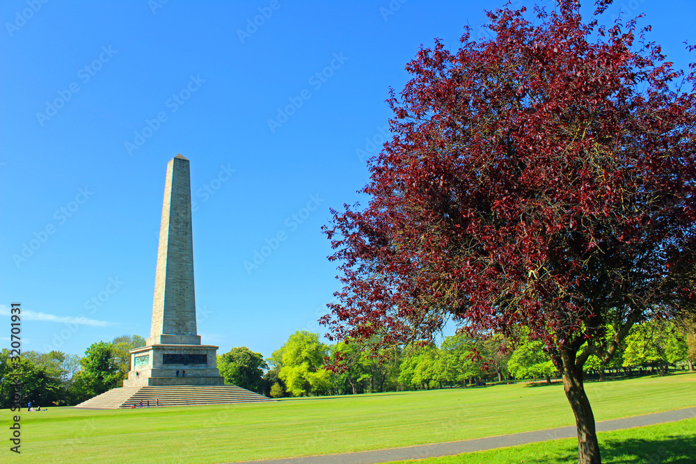 Wellington Monument in Phoenix Park (IRE 1009)