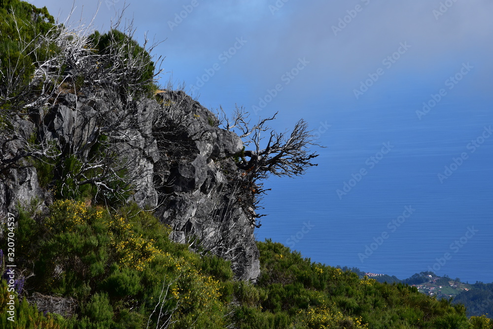 Landscape of green mountains of Madeira Island - view from the trial to Pico Ruivo. Landscape of green mountains of Madeira Island - view from the trial to Pico Ruivo.