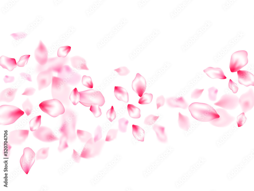 Japanese cherry blossom pink flying petals Japanese cherry blossom pink flying petals