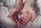 hands of father and child