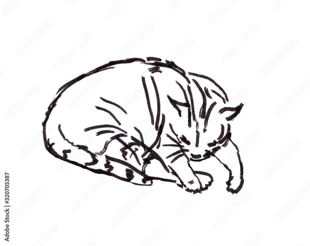 linear black and white drawing of a sleeping cat linear black and white drawing of a sleeping cat