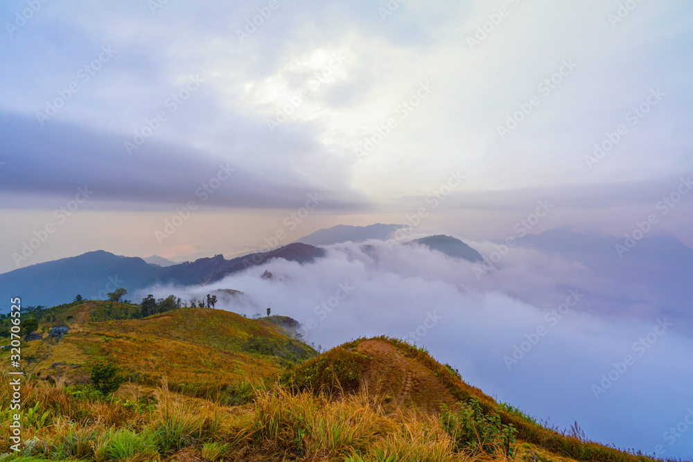 Landscape of Phucheefah mountain forest park in chiang rai province Thailand Landscape of Phucheefah mountain forest park in chiang rai province Thailand