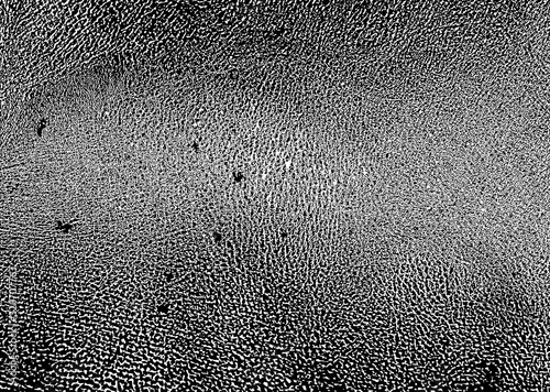 vector pattern the texture of the skin of the animal. genuine leather