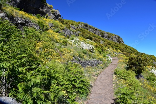 Landscape of green mountains of Madeira Island - view from the trial to Pico Ruivo.