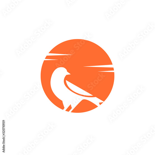 canary bird logo design vector illustration.