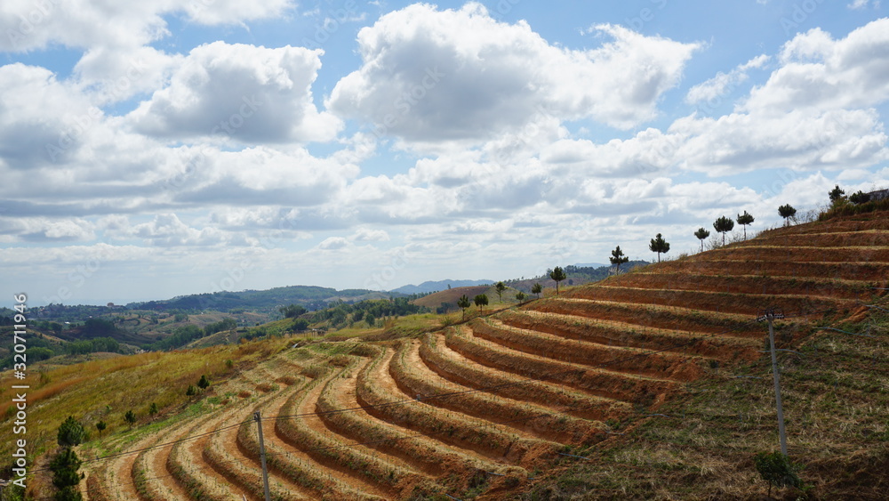 The agricultural terraces on the hillside.