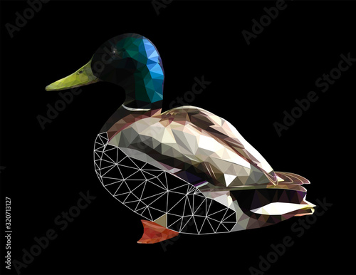 Low poly triangular and wireframe duck on black background, vector illustration isolated.  Polygonal style trendy modern logo design. Suitable for printing on a t-shirt.