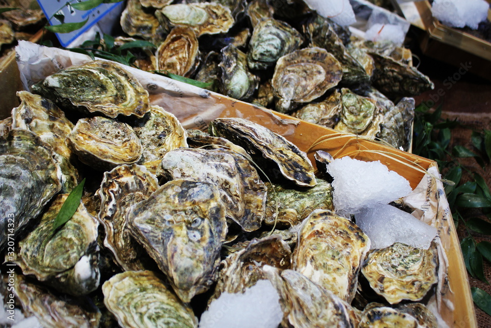 Fresh oysters on ice for sale at a seafood market. Fresh oysters on ice for sale at a seafood market.