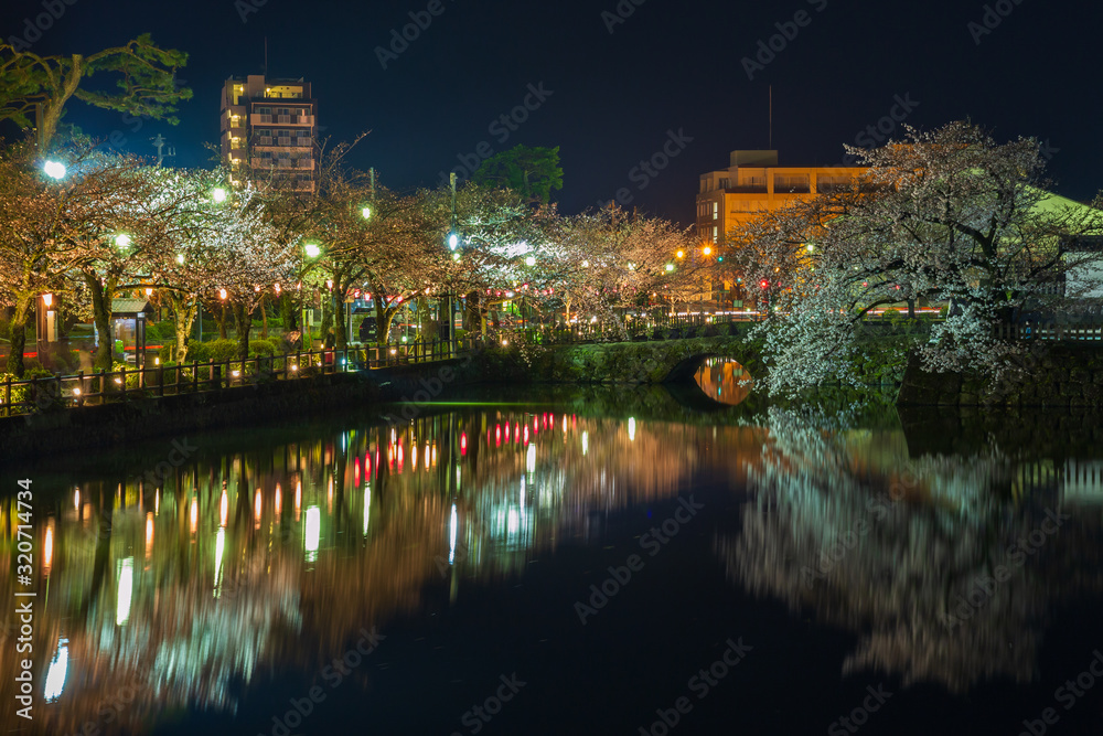 小田原城のお堀の桜