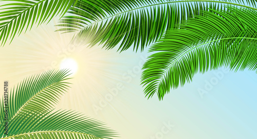 Illustration sun rays through the palm trees. © liliko