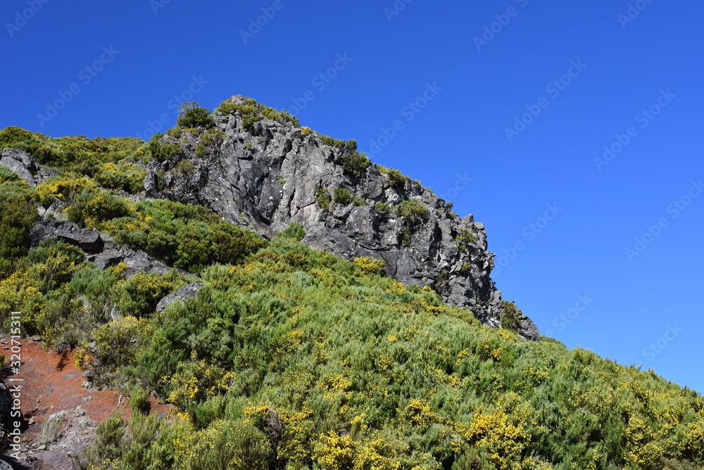 Landscape of green mountains of Madeira Island - view from the trial to Pico Ruivo.