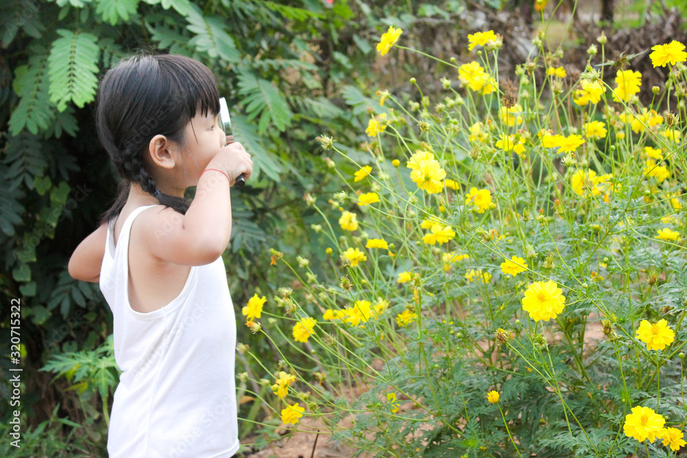 Little asian girl uses a magnifying glass to look at insects , Outdoor portrait , Thailand. Little asian girl uses a magnifying glass to look at insects , Outdoor portrait , Thailand.